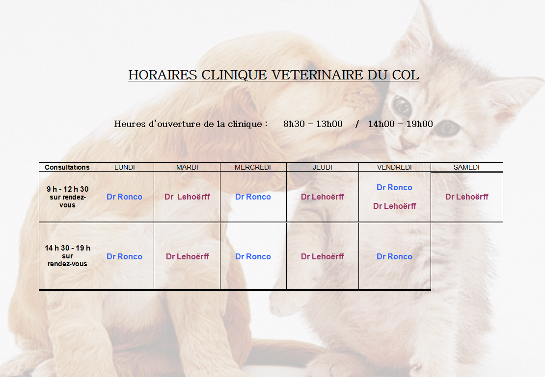 clinique vétérinaire à Nice