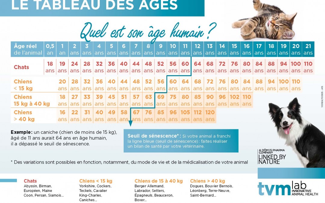 QUEL EST SON ÂGE HUMAIN ?