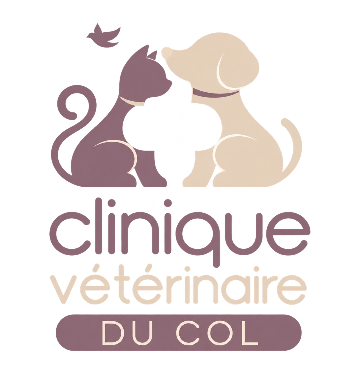 Clinique vétérinaire du Col — TEST